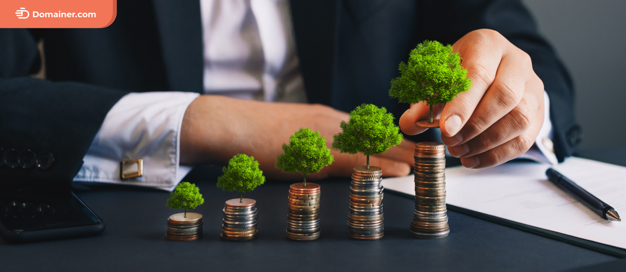 Premium Domain Investment